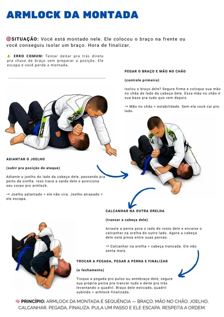 Armlock da montada